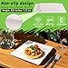 Tivcck 300 pack Compostable Square Paper Plates,6 Inch Dessert Plates,Heavy Duty Biodegradable Sugarcane Plate,Disposable Small Paper Plate for Daily Meals,Party,Picnic,Cake(White) 4