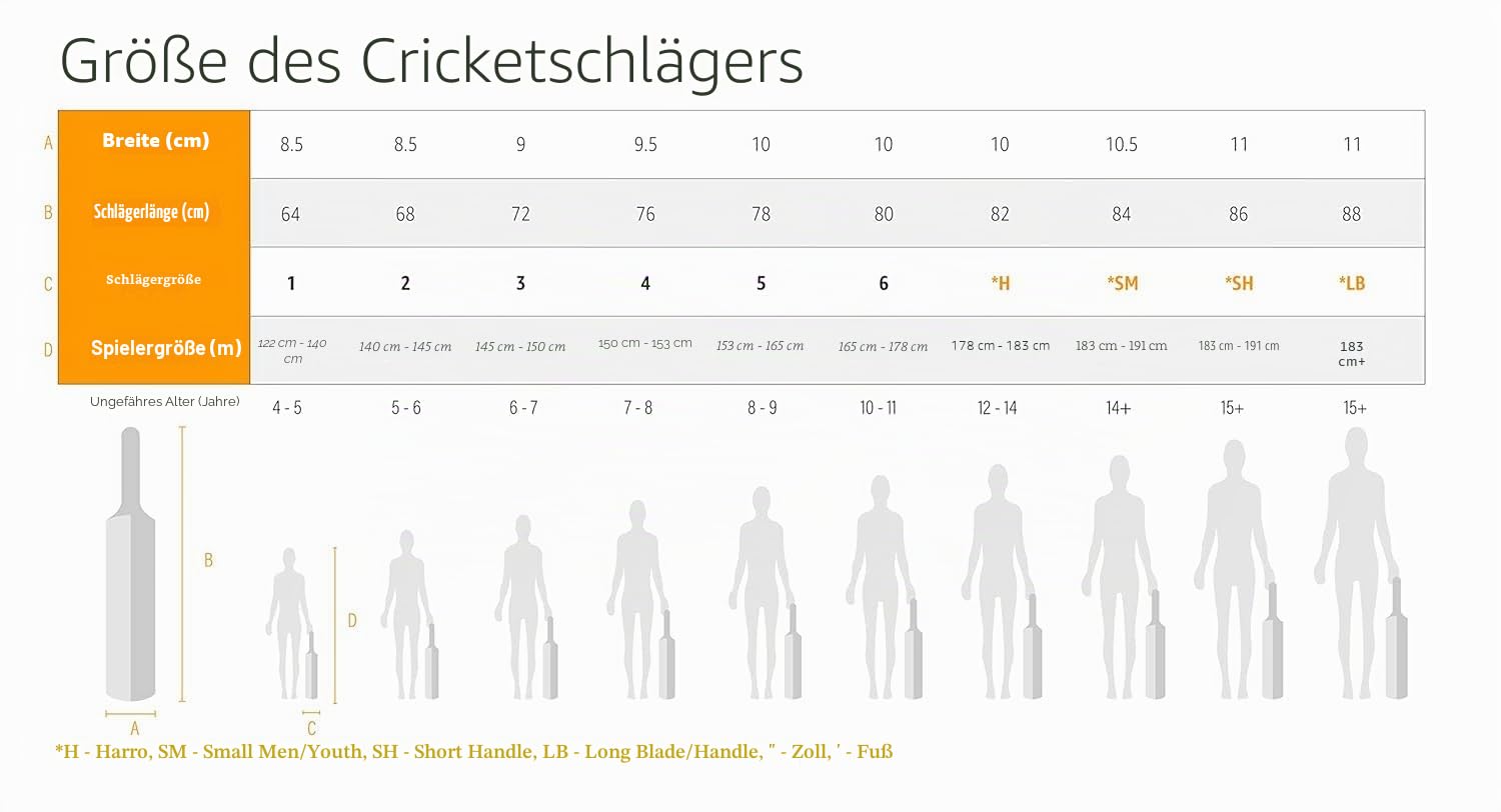 DSC Lava Cricket Bat for Mens and Boys | Material: Kashmir Willow Wood | Lightweight | Free Cover | Ready to Play | for Intermediate Player | Ideal for Leather Ball