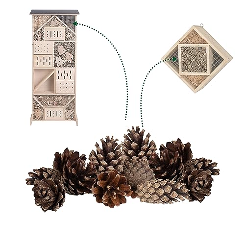 GARDIGO® Kiefernzapfen - ca. 80 Stück | Füllmaterial für Insektenhotel | Tannenzapfen zum Basteln von Weihnachtsdeko Herbstdeko | Christbaumschmuck Adventskranz Deko | Bastelmaterial Bastelbedarf
