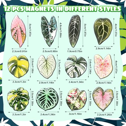 Imanes decorativos hoja Sabary pack 30 unidades miniatura 2