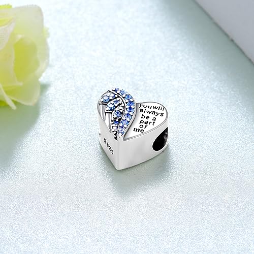 Angel Wing/Pet Cremation Charm for Ashes 925 Sterling Urn Beads for Bracelets Keepsake Memory Jewelry for Women3