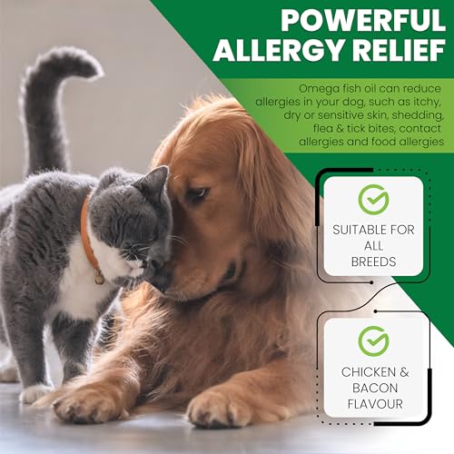 Omega 3 Chews for Dogs - Dog Supplements for Itchy Skin - 90 Chicken & Bacon Flavour Omega 3 Supplements with Salmon Oil - Dog Fish Oil Treats - Easy to Feed Itch and Allergy Chews - Image 5