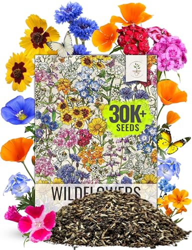 Seed Needs 2 Ounce Low Growing Wildflower Flower Seeds for Planting | Mixture/Blend 17 Varieties | Resealable Package Multicolored Blooms Open Pollinated Mixed Species | Bulk