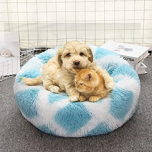 jiuzcare Hundebett Rundes PlüSch Katzenbett Haustierbett PlüSch Hundebett Katzenbett SchöNe Tierbett Super Weich Doughnut-Form Haustierbett FüR Katzen Donut Kissen Hundebetten FüR Kleine Hunde (Lila)