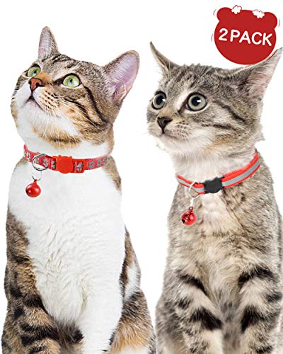 cute boy cat collars