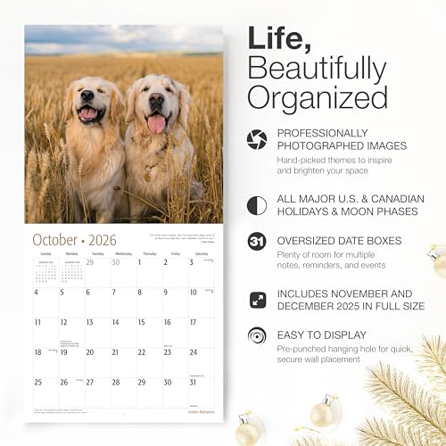 Image of RED EMBER Golden Retrievers 2026 Wall Calendar 12 Month | 12 inch x 24 inch Open | Thick & Sturdy Paper | Holiday Gift | Cute Puppy Dog Calendar 2026