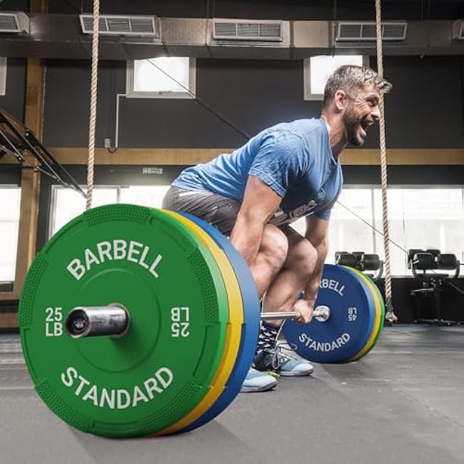 Mikolo Weight Plates 2 Inch, Bumper Plates with Enhanced Grip, Olympic Weight Plates for Strength Training and Weight Lifting