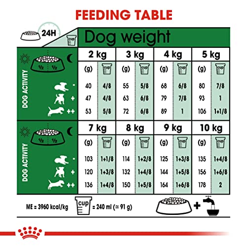 Royal Canin Mini Adult | 2 kg | Alleinfuttermittel für Hunde kleiner Rassen | Omega -3 Fettsäuren für Haut und Fell | Abgestimmter Energiegehalt und angepasste Krokettengröße