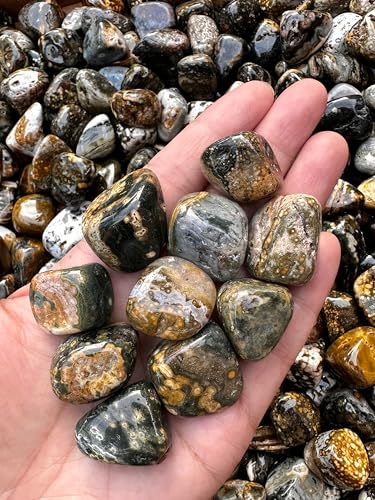 Image of GAF TREASURES 1 /2 LB Ocean Jasper Tumbled Stones, Polished Natural Sea Jasper Gemstone, Ocean Jasper Healing Crystals (Ocean Jasper)