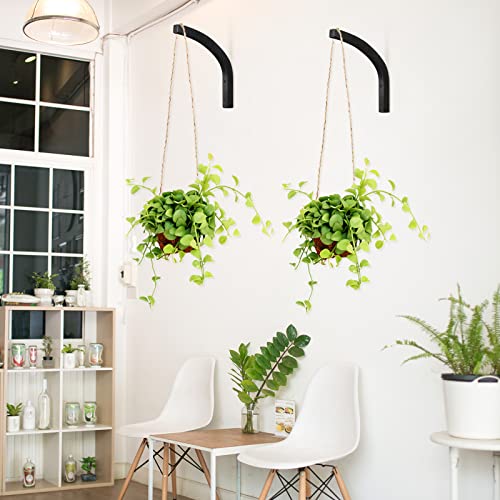 Geelin 4 Pieces Plant Wall Hanger Wooden Plant Hooks Wall Mounted Hanging Plant Hooks For Planters, Lanterns, Flower Bracket, Wind Chimes, Decoration Hooks (Black) #TOP4