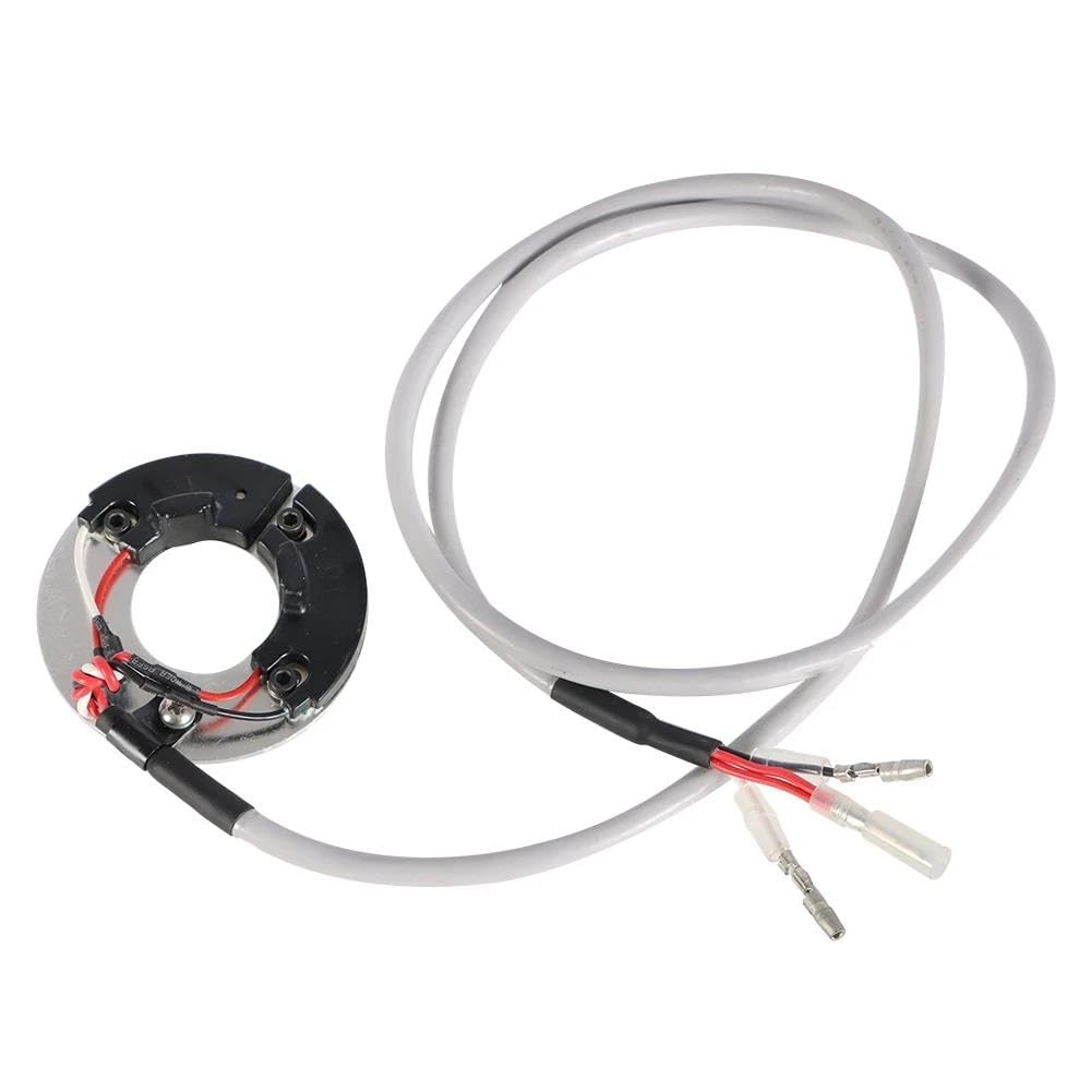 Bobina Accensione DS1-3 Accensione Elettronica Per Goldwing 1000 GL1000 1975-1976 1978 1979 Accessori Moto Motore Bobina Accensione