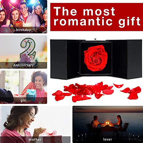 Rosa Stabilizzata Eterna, Rosa Eterna con