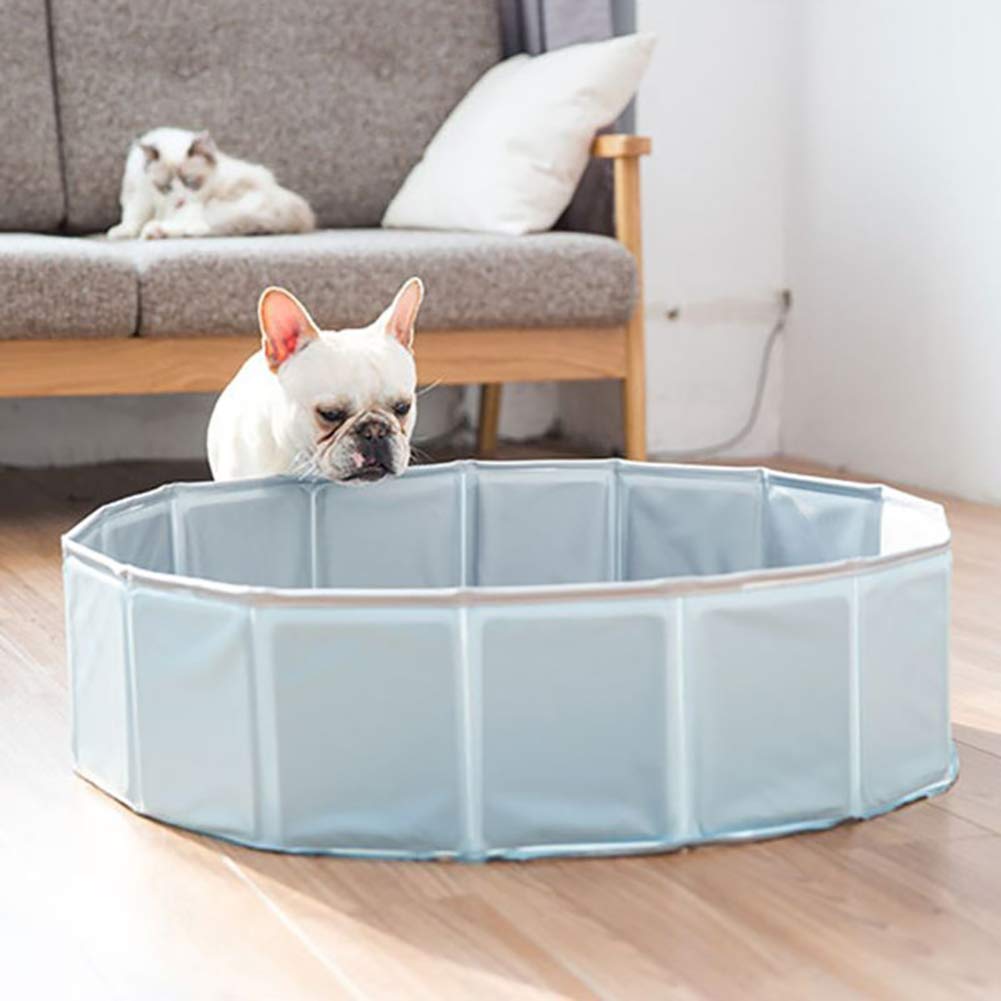 Piscine Pliable pour Animaux De Compagnie Pataugeoire pour Chiens Piscine pour Chien Baignoire pour Chats Piscine Pliante pour Enfants pour Extérieur Intérieur