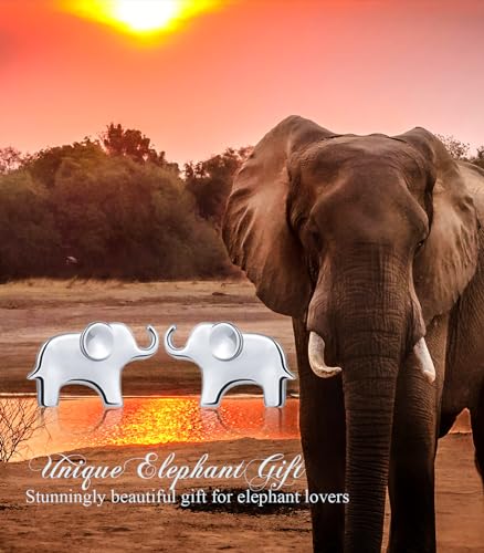 S925 Sterling Silver Lovely Elephant Stud Earring Jewelry for Women3
