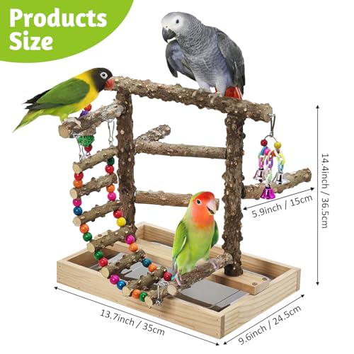 Image of BNOSDM Natural Wood Bird Playground for Training & Playing, Parrot Perch Stand Jungle Gym with Hanging Bridge & Detachable Tray Parakeet Cage Playstand for Budgie, Cockatiel, African Grey