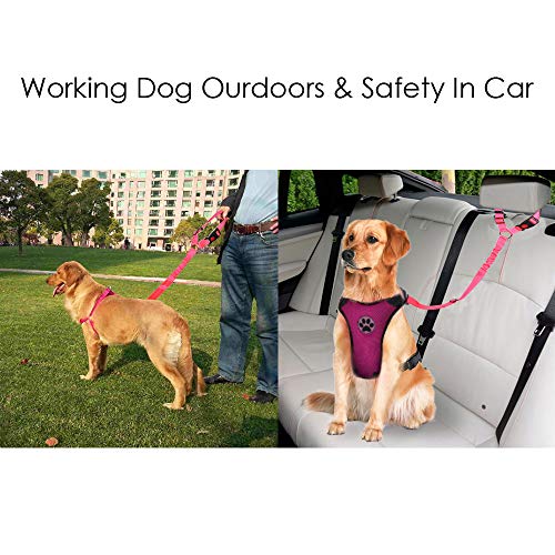 Lukovee Dog Car Seat Belt, 2 Pack Headrest Restraint Seatbelt, Adjustable Pet Safety Leads With Reflective Elastic Bungee For Dog Harness Collar Travel Daily Use (Fluorescent Pink,Headrest) #TOP4