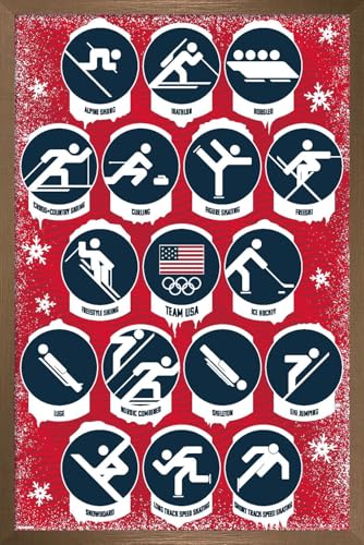 Trends International Team USA: 2026 Winter Olympics (Milan) - Pictograms Wall Poster, 22.4L x 14.7W, Bronze Framed Version