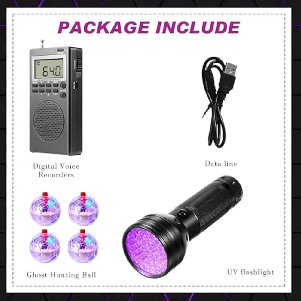 Kit d'équipement de chasse pour chat avec radio, 4 balles et lampe de poche, jouet interactif lumineux pour la maison et l'extérieur