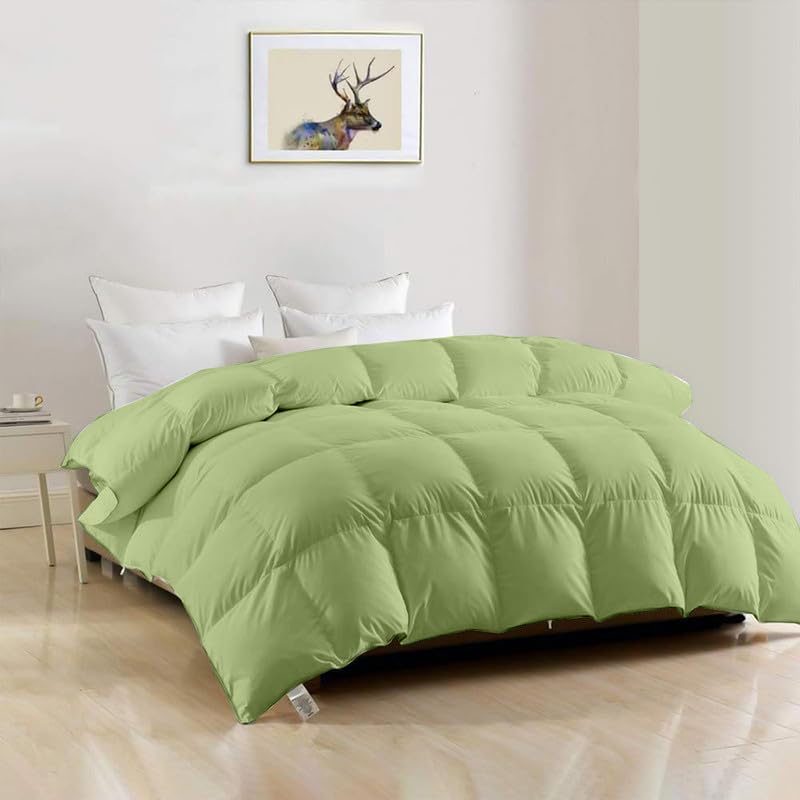 Image of ARLinen AC Comforter Quilt Blanket for All Season ac Blanket for Summer Super Soft Fluffy Comforter, 300 GSM (60 inch X 90 inch Inches /152Cm X 228Cm) - Single Bed Comforter|Sage| TC - 400