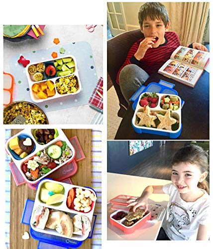 Kinsho 5M-N9EL-TDZ9 Bento Boxes For Kids thumb #4