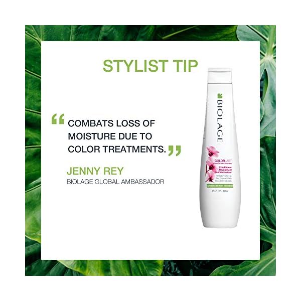 Biolage Color Last Conditioner | Color Safe Conditioner | Helps Maintain Depth & Shine | For Color-Treated Hair | Paraben & Silicone-Free | Vegan​| Cruelty Free | 33.8 Fl. Oz