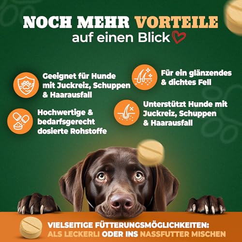 NATIVIVO Fellpflege Hund - Juckreiz Hund Fellpflege - Fellkomplex Biotin & Zink - Unterstützend bei Juckreiz - Biotin für Hunde Glänzendes Fell - 100 Tabletten Nahrungsergänzungsmittel für Hunde