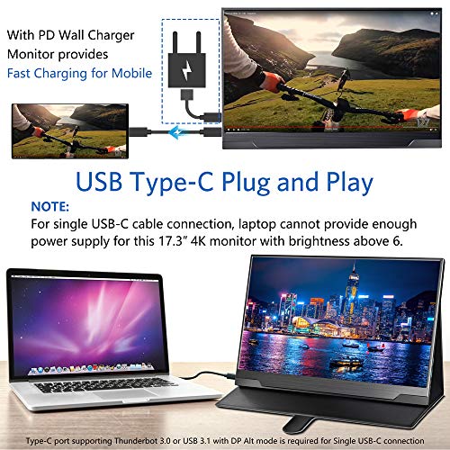 Portable Monitor 4K - 17.3 Inch Uhd Freesync Hdr Ips 100% Adobe Rgb 3840X2160 Lightweight Eye Care Computer Display With Type-C Mini Dp Hdmi For Xbox Ps4/5 Switch Laptop Pc Mac, With Smart Case #TOP2