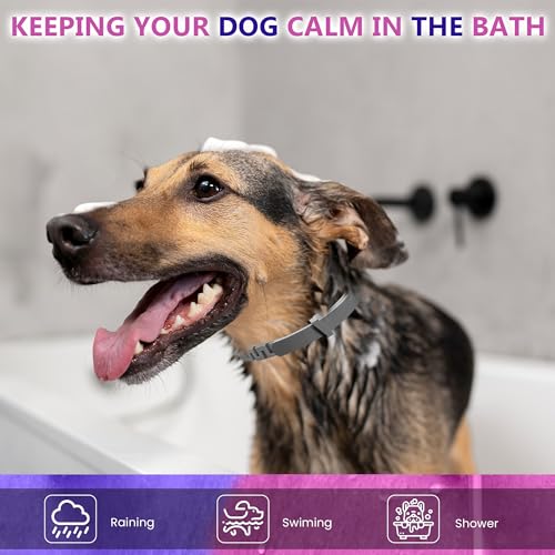 Calming Collar for Dogs Relief Anxiety Stress Separation Anxiety Relief for Dogs Adaptil Bad Behavior 25 Inches Size Dog Flea Collar Flexible Adjustable Pheromones Calm, 1 Pack Calming Collar for Dogs Relief Anxiety Stress Separation Anxiety Relief for Dogs Adaptil Bad Behavior 25 Inches Size Dog Flea Collar Flexible Adjustable Pheromones Calm, 1 Pack