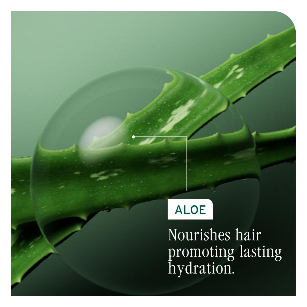Biolage Hydra Source Conditioning Balm - Moisturizes, Detangles & Adds Softness, For Dry Hair, Infused with Fermented Aloe & Micro-Filtered Hyaluronic Acid, Vegan & Paraben-Free