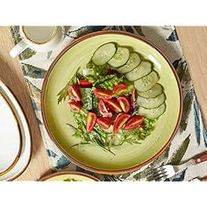 ONEMORE Porcelain Plates Set 105 inch Large Dinner Plates for Salad Dessert Ceramic Serving Plate Set of 4 Microwave and Dishwasher Safe