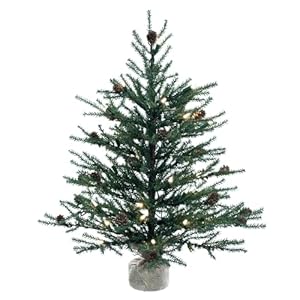 Vickerman 24" Caramel Pine Artificial Christmas Tree, Warm White Italian LED Mini Lights, Seasonal Indoor Home Decor with Decorative Burlap Base Vickerman 24 Caramel Pine Artificial Christmas Tree Warm White Italian LED Mini Lights Seasonal Indoor Home Decor with Decorative Burlap Base