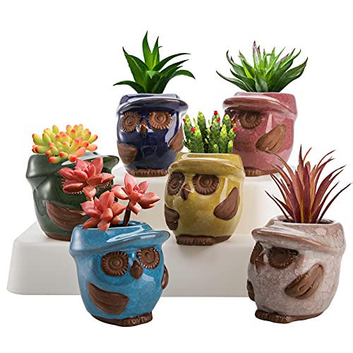 Dicunoy Lot de 6 petits pots en céramique pour plantes succulentes, 8,1 cm, faits à la main, en porcelaine pour plantes, fleurs, cactus, cadeau (plantes non incluses)