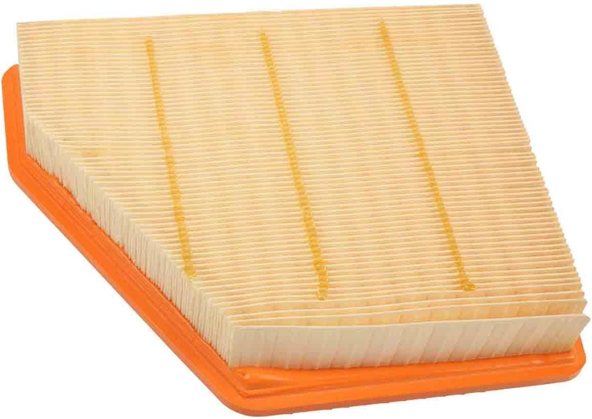 ACDelco GM Original Equipment A3177C (23116124) Air Filter