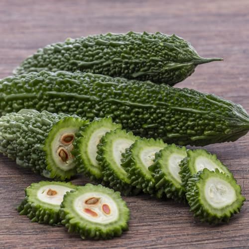 semillas orgánicas de melón amargo - Semillas de variedades de hortalizas antiguas en bancales elevados Planta decorativa para balcón con parterre elevado Semillas de hortalizas 300pcs
