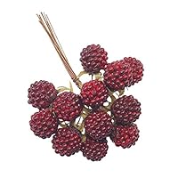 Amazon｜大地農園 フラワー資材 ラズベリー・17mm(12本入り) レッド