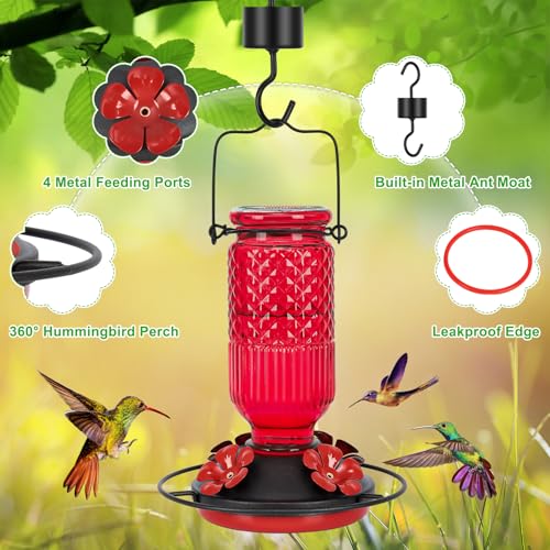 Feed Garden JC-BLWNQ-RED-1 Glass Hummingbird Feeder thumb #3