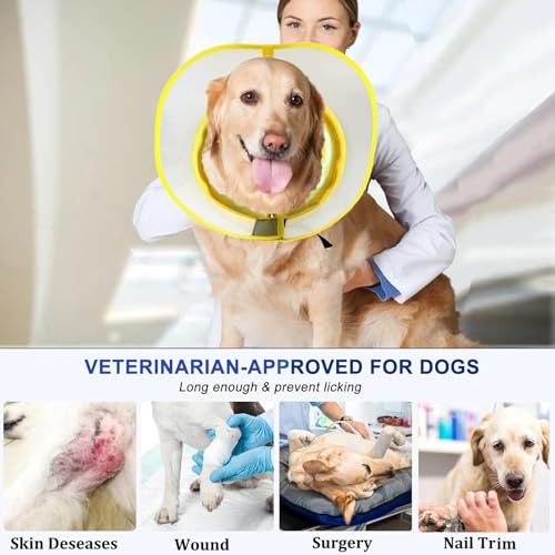 Image of Inflatable Dog Cone Collar for Large Medium Small Dogs to Stop Licking, Soft Dog Cone Alternative Donut Collar After Surgery (Yellow, M)