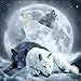 Yingxin34 Puzzles 2000 Piezas Luna y Lobo Puzzles Rompecabezas para Adultos 2000 Piezas 100x70cm