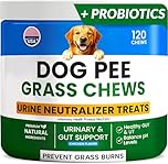 PAWFECTCHEW Green Grass Dog Chews w/Probiotics - Prevent Urine Burning Grass - Dog Pee Grass Spot Saver - Dog Urine Neutralizer for Lawn Treats, UT & Gut Health for Dogs, Lawn Burn from Dog Urine