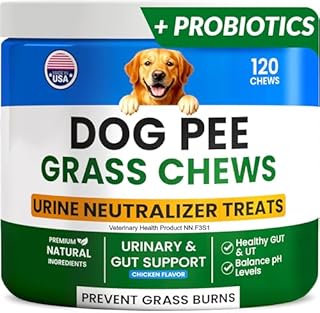 PAWFECTCHEW Green Grass Dog Chews w/Probiotics - Prevent Urine Burning Grass - Dog Pee Grass Spot Saver - Dog Urine Neutralizer for Lawn Treats, UT & Gut Health for Dogs, Lawn Burn from Dog Urine