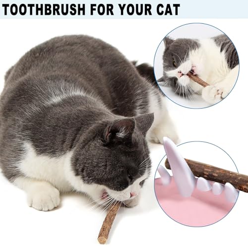 PetGens Jouet Chat Interactif, Jouets pour Chats à Ressort avec Boules Herbe à Chat, Plumes, Clochettes Jouet Chat Interieur – Image 6