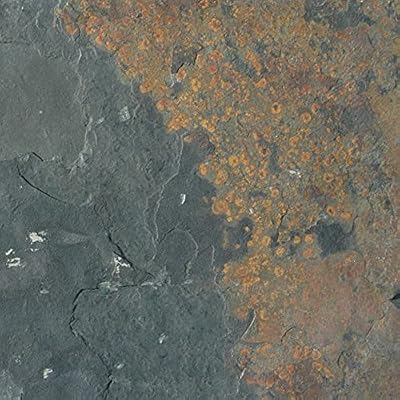 MSI Stone SCALGLD1212G-C California Gold Tile with Gauged Finish, 12" x 12", Multi