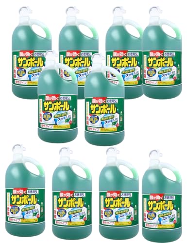 T|[V 5(×10jy܂Ƃߔz gCp͐ Ɩp 5L×10{Zbg _N[i[ CEA΁E΂ݏ eʂœX܁E{݁Eƒ qǗɍœK