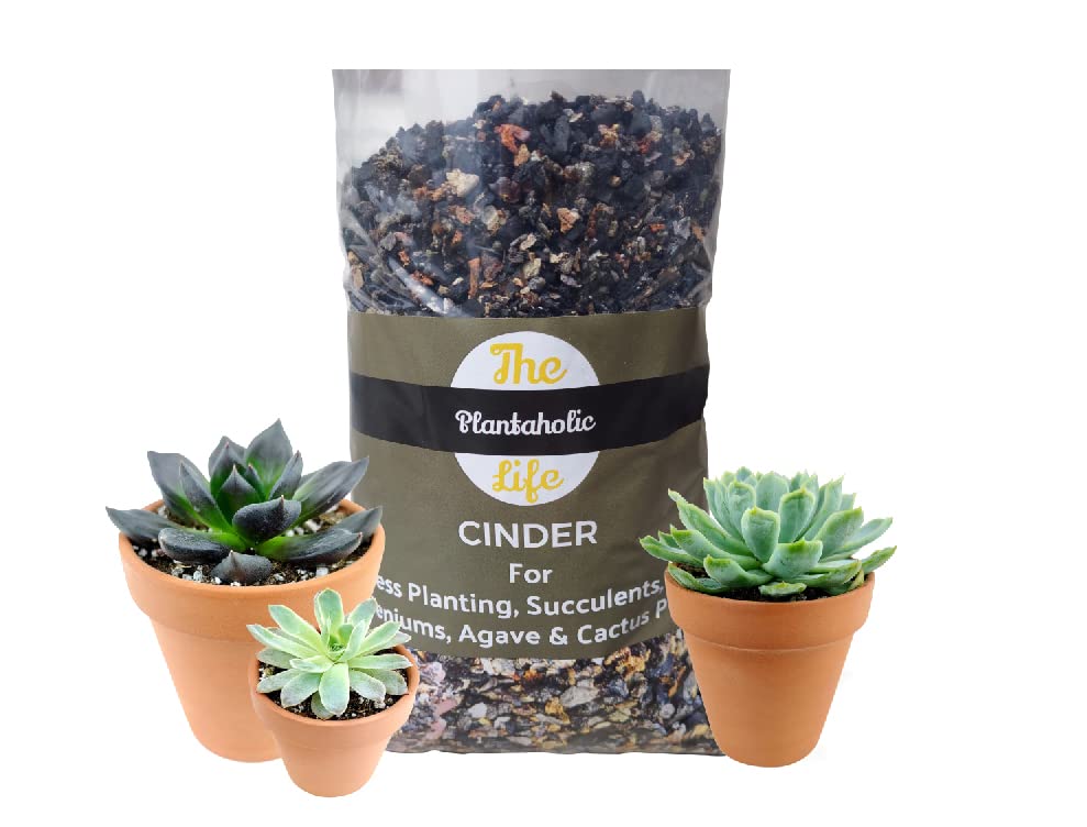 Cinder for Soilless Media/Hydroponics/Planting for Cactus,Succulents,Roses,Adenium,Orchid 1kg-image-42