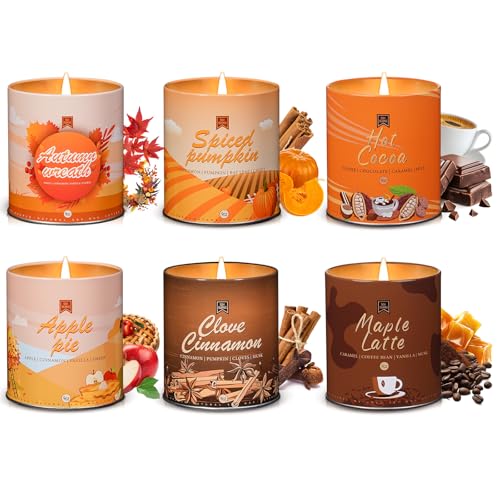 6Pack/54oz Non-Toxic Scented Candle Set, Fall Winter Candles, Decorative Holiday