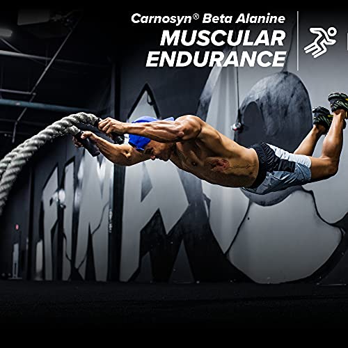 C4 Ripped Sport Pre Workout Powder Fruit Punch | NSF Certified for Sport + Sugar Free Preworkout Energy Supplement for Men