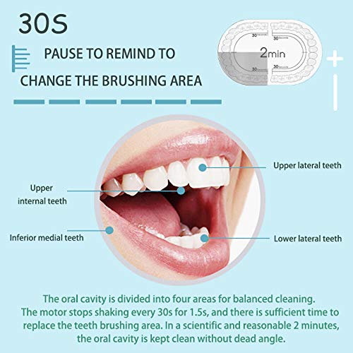 Sonic Electric Toothbrush Rechargeable Ideal For Adults Children, 6 Optional Modes Ipx7 Usb Fast Charging Electric Ultrasonic Toothbrush With 2 Min Build In Timer & 4 Replacement Brush Heads（Black） #TOP2