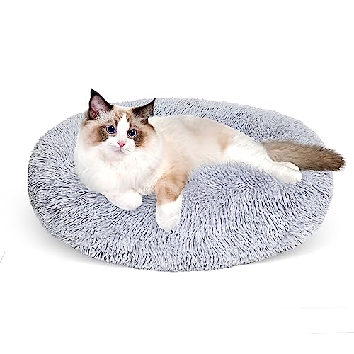 Cgzmlucky Cat Bed for Indoor Cats,24 Inch Cat Bed &