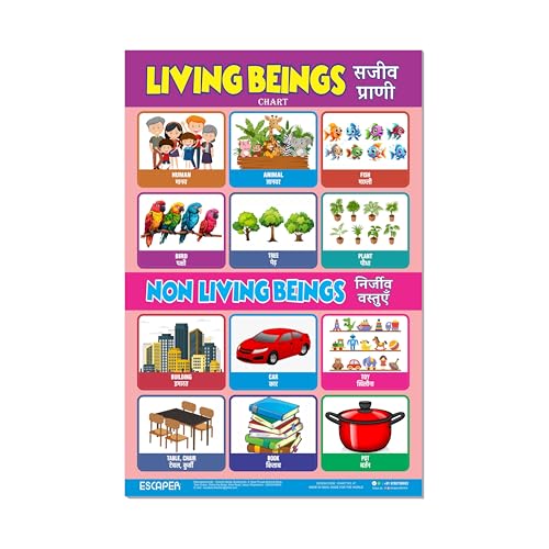 Image of ESCAPER Living Beings Educational Charts for Kids, Charts for Kids Learning (11.5 x 17.5 inches), Kids Study Material, Kids Learning Books, Educational Posters