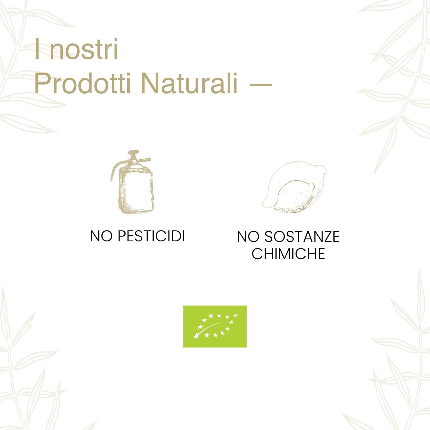 Limoni 100% Siciliani e 100% Biologici - Massima Freschezza e Sostenibilità, Limoni Raccolti Direttamente dai Nostri Alberi - 4 kg - CERTIFICATI BIOLOGICI QUESTO FA LA DIFFERENZA